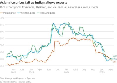 Global Rice Prices Stabilize, But India’s Supply Glut Caps Recovery in 2025