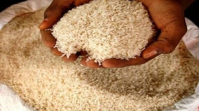 India Set to Emerge as World’s Largest Rice Producer in 2024-25 Amid Record Foodgrain Output