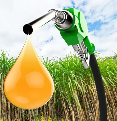 Ethanol price hike is critical to maintain segment’s profitability: India Ratings and Research