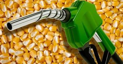 Farm ministry flags higher diversion of maize for ethanol amid concerns over import dependency