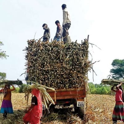 www.sugarethanolbioenergy.com- Farmers in Rahatna village resolve to boycott sugar mills defaulting on cane payments