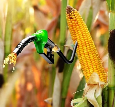 mmdeinternational.com- ICAR-IIMR director emphasises need to enhance maize productivity using scientific, cost-effective methods