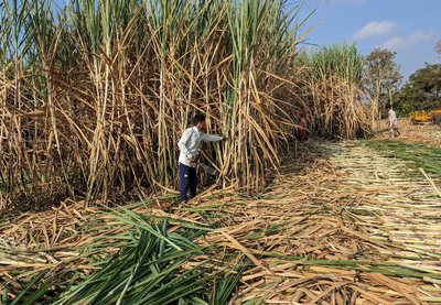 www.sugarethanolbioenergy.com- India allows production of ethanol from sugarcane juice, molasses