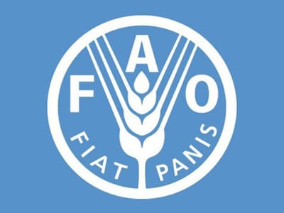 sugarethanolbioenergy.com- World food prices nearly steady in August: FAO Report