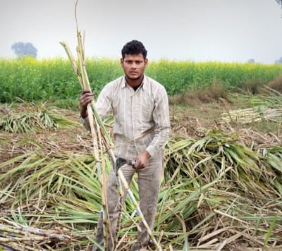 sugarethanolbioenergy.com- Nepal: Government earmarks Rs. 750 million grant for sugarcane farmers