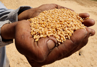 mmdeinternational.com- World food prices at more than two-year high, FAO says