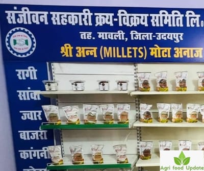 mmdeinternational.com- Rajasthan surpasses target for millet outlets in rural areas