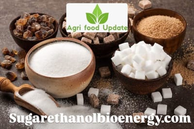 Sugarethanolbioenergy.com-Kyrgyzstan’s sugar production sees sharp growth in 2025