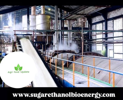 www.sugarethanolbioenergy.com-🚛 Malaysia’s Transport Ministry Pushes for 10-Year Land Lease Extension for MSM Sugar Refinery in Perai 🍬 Amid Major Redevelopment Plans 🏗️