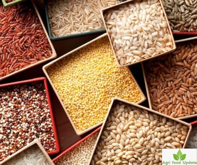 mmdeinternational.com- Millets Get A Global Nod - Is Your Diet On Board Yet
