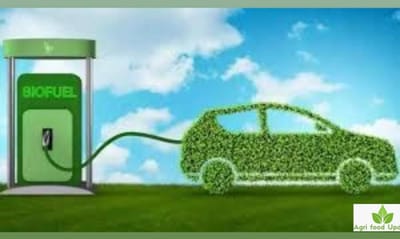 TruAlt Bioenergy IPO opens today in ₹472-496 price band