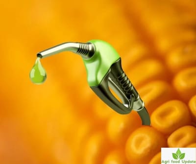 sugarethanolbioenergy.com-India considering buying US corn for ethanol production amid trade talks