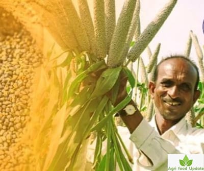 mmdeinternational.com- Government Providing Free Millets Production Incentives