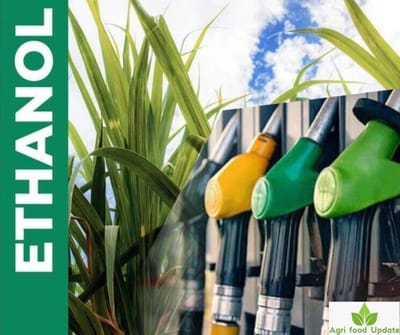 sugarethanolbioenergy.com-  Sugar mills sold ethanol worth Rs. 6,378 crore in 2024-25 season, says CM Fadnavis