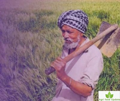 mmdeinternational.com- Uttar Pradesh's Ambitious Millet Expansion Doubling Cultivation to 2.5 Million Hectares