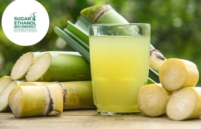 www.sugarethanolbioenegry.com - M📰 PAU 🤝 Maharashtra Firm to Develop Sugarcane Juice 🧃 Blotting Tech for Better Preservation 🍃