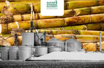 www.sugarethanolbioenergy.com - "🇮🇳 India’s Ethanol Surge: 🌾 Grain, Not Sugar, Takes the Driver's Seat 🚗💨"