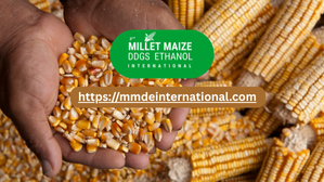 Corn must become India’s new crude