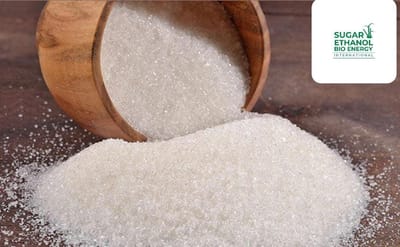 www.sugarethanolbioenergy.com - 🚀 Sugar Rush on Dalal Street! 🍭 Dalmia Bharat, Renuka Sugars & Triveni Engg Soar — Here’s Why Sugar Stocks Are Skyrocketing! 💹