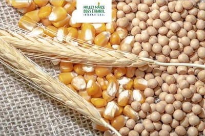 mmdeinternational.com - 🌽 Indiana Corn & Soybean Yields Surpass Expectations, Say Farmers 🌱🚜