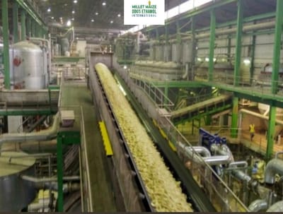 mmdeinternational.com - “Govt Prepares 1 Million Ha 🌱 for Ethanol Feedstock Cultivation 🚜🥬”: