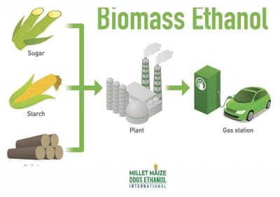 www.sugarethanolbioenergy.com / mmdeinternational.com - From Farms to Pharma: The Many Uses of Ethanol 🌾➡️💡🏭