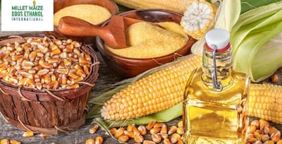 mmdeinternational.com - 🇮🇳🤝🇺🇸 India Set to Buy Oil, Ethanol, Corn & Maize from the U.S. 🌽🛢️✨