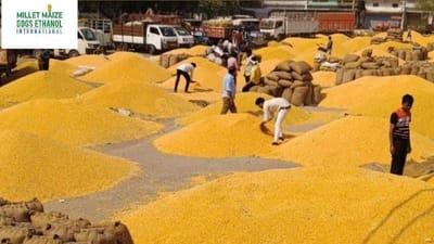 mmdeinternational.com - 🌽 Grain Gains: Is Maize the New Sweet Spot for India’s Ethanol Push? ⚡ | The Trending Commodity Podcast 🎙️ | Ep. 03