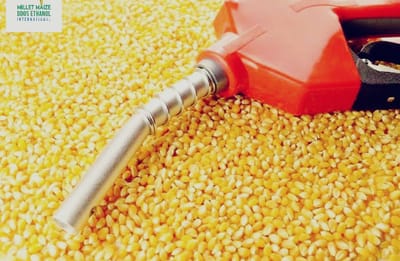 mmdeinternational.com - 🌽 Corn Ethanol Poised to Challenge 🇧🇷 Sugarcane’s Dominance Within a Decade 🍃⚡