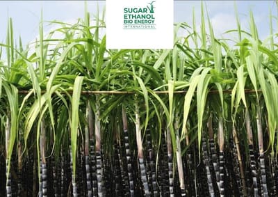 www.sugarethanolbioenergy.com - Salem Co-op Sugar Mill Gears Up for New Season 🍬 | Crushing to Begin Mid-November 🚜