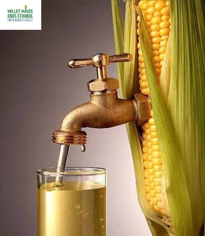 mmdeinternational.com - 🌽 Ethanol Boost Ahead! 💧 Ending Tariffs to 🇲🇾 Malaysia & 🇰🇭 Cambodia Could Spark Higher Demand 🌍 — NCGA0
