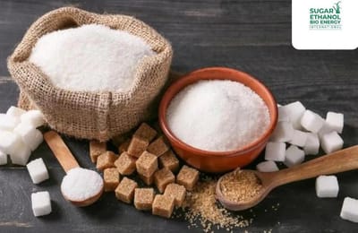 www.sugarethanolbioenegry.com - 🍬 Millers Blame Govt for Soaring Sugar Prices 🚨