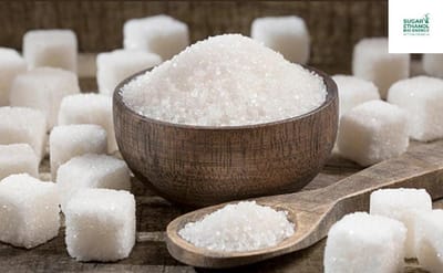 www.sugarethanolbioenergy.com - 🍬⚠️ Sugar Industry Raises Alarm Over India’s 2025‑26 Ethanol Policy