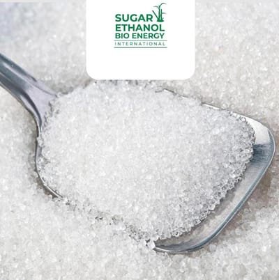 www.sugarethanolbioenergy.com - 🔥 Sugar Prices Surge Higher on Short Covering 📈🍬