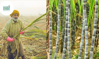 www.sugarethanolbioenergy.com - 🔥 Cane Price Fury Erupts in Sugar Belt — Protests Block Highways Across North Karnataka 🚜🛣️