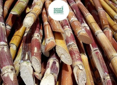 Nashik 🏭: Dwarkadhish Sugar Factory to Crush 6 Lakh Tons of Sugarcane 🍬, First Payment to Be Made Within 15 Days 💰