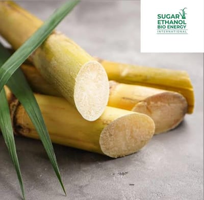 sugarethanolbioenergy.com - 🌾🤝 Karnataka Minister Invites Sugarcane Farmers for Talks with CM Amid Intensifying Protests ✊🏛️