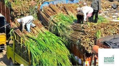 www.sugarethanolbioenergy.com - 📰 Sugarcane Farmers’ Protest: CM Siddaramaiah Seeks Urgent Meeting with PM Modi to Resolve Price Concerns 🍬🚜🤝