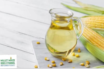 MMDEINTERNATIONAL.COM - IFF Introduces OPTIMASH BOOST, a next-generation cellulase for maximizing distillers corn oil recovery