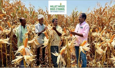 mmdeinternational.com - 🌽 Telangana Maize Farmers Get Big Relief — Govt to Boost Procurement! 🙌
