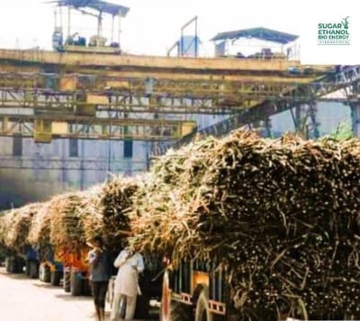 www.sugarethanolbioenergy.com - 325 Mills Begin Crushing Operations in India; Sugar Production Reaches 10.50 LMT: NFCSF 🇮🇳🏭🍬