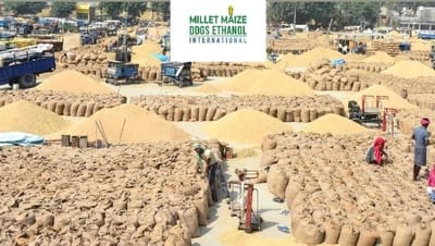 mmdeinternational.com - Gujarat govt to start direct procurement of maize at MSP from Nov 24