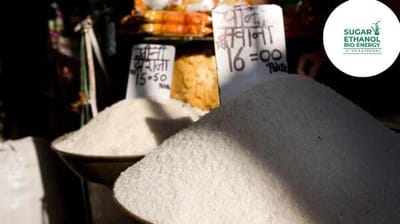 www.sugarethanolbioenergy.com - 🇮🇳📈 Smaller Indian Sugar Exports Push Global Prices Higher