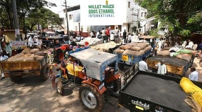 mmdeinternational.com - After Maize, Now Black Gram Growers Up in Arms Against Karnataka Govt 🌾✊