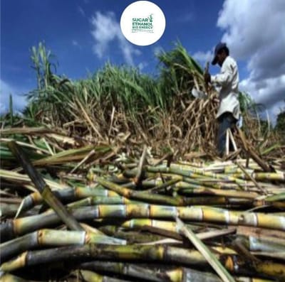 www.sugarethanolbioenergy.com - "Government examining a new support scheme for sugarcane farmers: Sanjivani Sugar Mill Administrator 🌱🏭🇮🇳"
