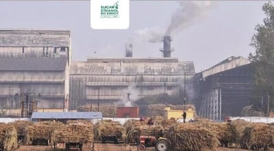 www.sugarethanolbioenergy.com - Maharashtra: 165 Sugar Mills Kick Off Crushing Season; Output Reaches 151.48 Lakh Quintals 🚜🍬📈