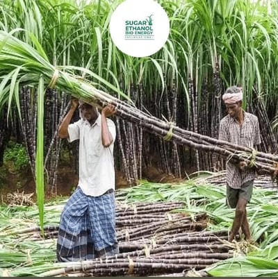 www.sugarethanolbioenergy.com - Uttarakhand Raises Sugarcane Price by ₹30 per Quintal 🌾📈🚜