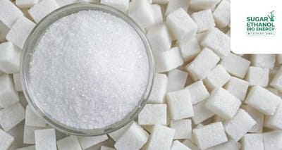 www.sugarethanolbioenergy.com - 🍭 Sweet Surge: India’s Sugar Production Jumps 43% in Early 2025–26 📈