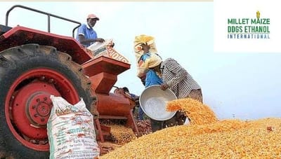 mmdeinternational.com - State Government Raises Maize Procurement Limit to 50 Quintals 🌽📈