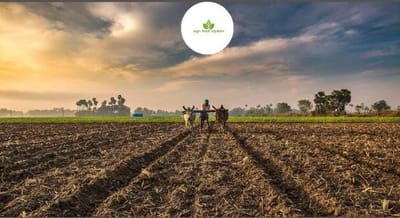 www.agrifoodupdate.com - Why India Needs to Do More to Make Agriculture Emission-Free 🌱🇮🇳